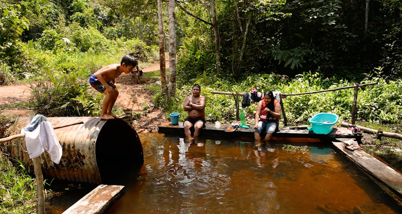 El curso de Gobernanza Ambiental en la Amazonía propone un cierre con exposiciones regionales 