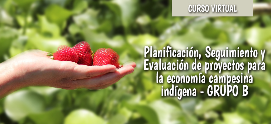Curso Virtual. Planificación, Seguimiento y Evaluación de proyectos para la economía campesina indígena - Grupo B